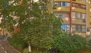 Фотография Мир 2